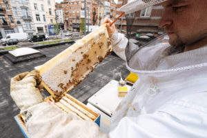 ALAUBE – Urban Ag & Beekeeping – FTS finds out more!