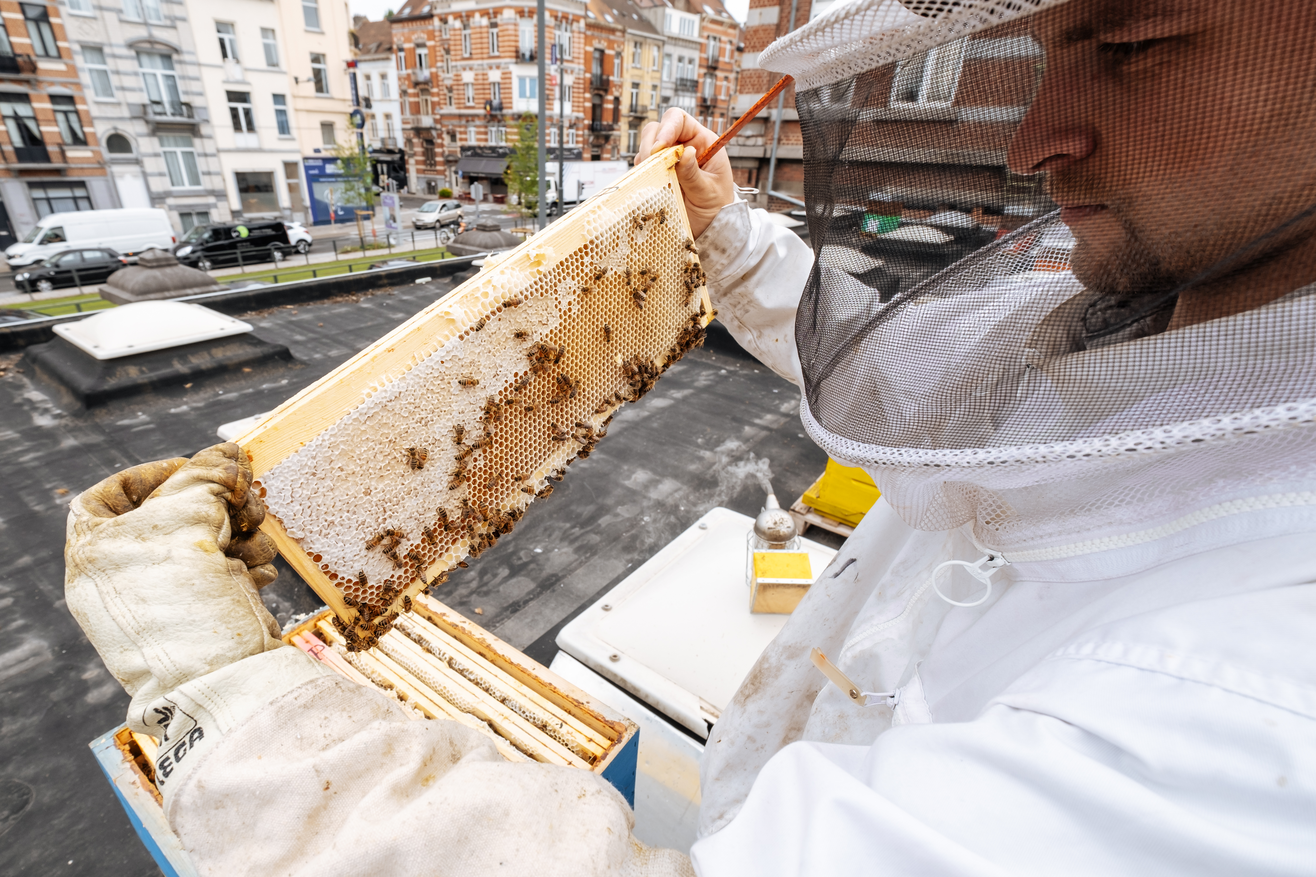 You are currently viewing ALAUBE – Urban Ag & Beekeeping – FTS finds out more!