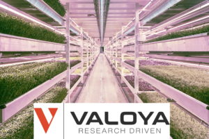 Read more about the article Valoya – FTS finds out more!
